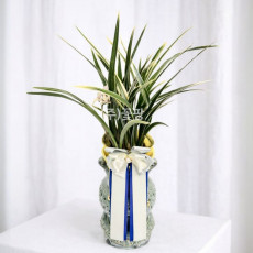 황룡금(투각분)