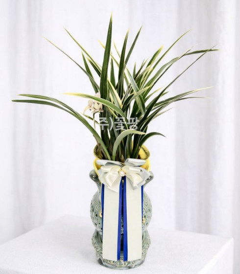 황룡금(투각분)